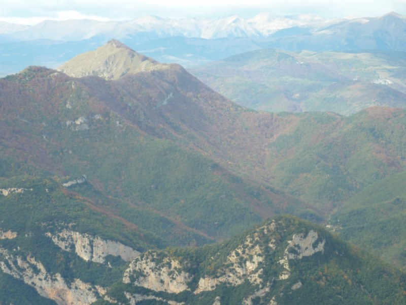 Puig de Comanegre, Puig de les Bruixes i pirineu de Núria vistos des del Bassegoda