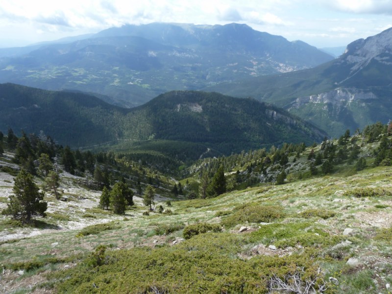 Segueixo baixant pel Clot del Comabona, amb la Serra d'Ensija de cara